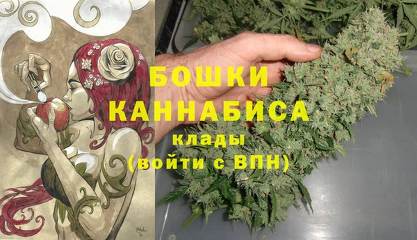 мдпв Богданович